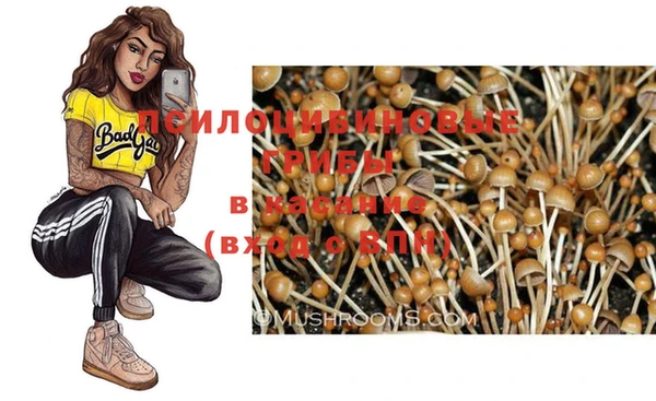 хмурый Медногорск