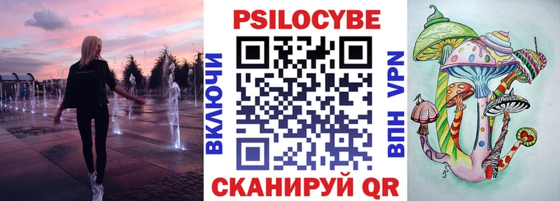 Псилоцибиновые грибы Cubensis  Купить  Северск 